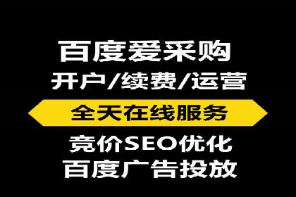 百度竞价广告的创意与执行：成功案例剖析